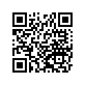 921800199 Shim, T=3.300