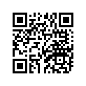 92901-06600-00 Шайба