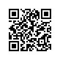 92907-06600-00 Шайба