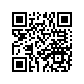 92990-06300-00 Шайба