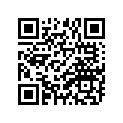 93210-11453-00 Кольцо Резиновое