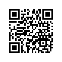 93210-30611-00 O-RING (30X)