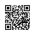93210-33006-00 O-RING