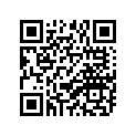 93210-42482-00 O-RING