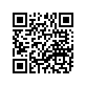 93210-64272-00 O-RING