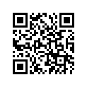 93211-13109-00 O-RING