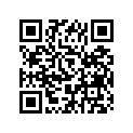 933-06204-YU-00 Подшипник
