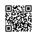 93300-63808-00 ベアリング