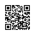 93306-00304-00 Подшипник