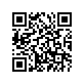 93306-00416-00 Подшипник