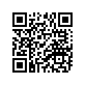93306-00702-00 BRG,R-B 6007 62MM 150G KY