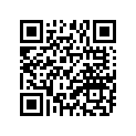 93306-20333-00 BRG,R-B 6203RS 40MM 63.3G KY
