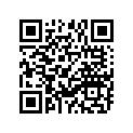 93306-30318-00 BRG,R-B 6303 47MM 115G NK