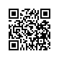 93306-30401-00 BRG,R-B 6304C3 52MM 144G KY
