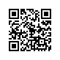 93317-31771-00 Подшипник
