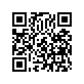 93891-06014-00 Шайба