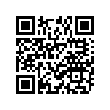 94108-215H9-00 80/100-21 BS TIRE