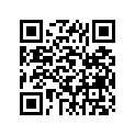 94108-21800-00 80/100-21 Mt320h Pirelli