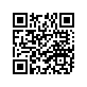 94110-090X4-00 Покрышка Пневматическая