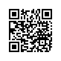 94110-188F3-00 100/100-18 59P PIR MT21 RALLYC