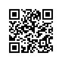 94110-19028-00 TIRE (100/90-19 57