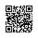 94110-1908V-00 100/90-19 M/C F24 TT