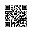94111-12802-00 Tire (110/70-12 C922N 47L)
