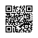 94111-166J7-00 110/90-16 BS G527