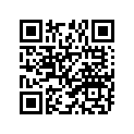 94111-182G9-00 110/80-18 58P BS TW26