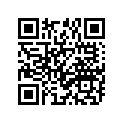94111-187H3-00 110/100-18 M22 BS