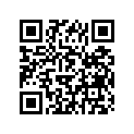 94113-161J2-00 130/90-16 BS G528