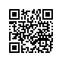 94114-183X5-00 140/60VR18 V240 DUN SPORTMAX