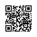 94115-1513R-00 150/90B15 BS G702AR WW