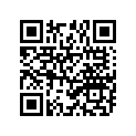 94115-165X7-00 150/80V16 DUN V250 K275