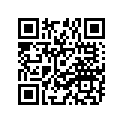 94116-1711V-00 160/60ZR17 BS BT50R