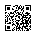 94117-15009-00 Покрышка Пневматическая