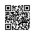 94117-1513P-00 170/80-15 77S BS G702 EXEDRA