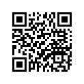 94118-17011-00 Покрышка Пневматическая