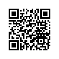 94118-17041-00 Покрышка Пневматическая