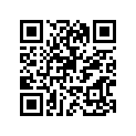 94118-17065-00 TIRE