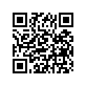 94125-107J4-00 250-10 Irc Mb27 Jett Inoue