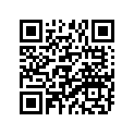 94125-17259-00 Tire (2.50-17)