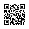 94125-17314-00 250-17 IRC