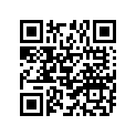 94125-192T8-00 250-19 Irc Gp1 Inoue