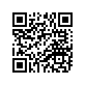 94127-21008-00 TIRE (2.75-21)