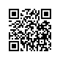 94130-16368-00 300-16 Irc Trials