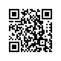 94132-19063-00 325X19 DUNLP TRIAL