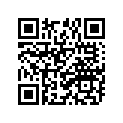 94146-181N2-00 460-18 63S BS TW26 TT