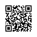 94211-19273-00 TUBE 110/90-19