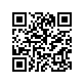 94227-19037-00 TUBE (2.75-19)(3GX)